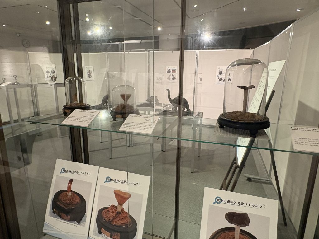 金沢大学資料館